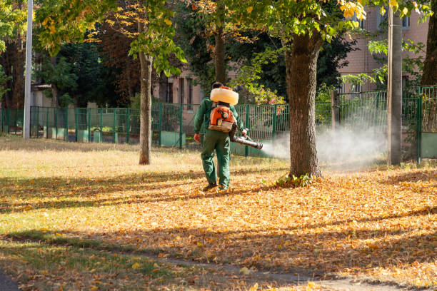 Best Rodent Control Near Me  in Lubbock, TX